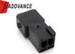 2 Pin Male Automotive AMP Tyco Sealed Connector with Terminals
